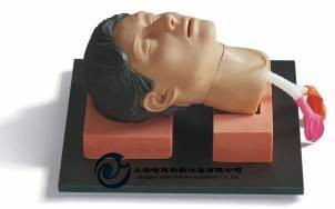 環(huán)甲膜穿刺和切開訓(xùn)練仿真模型