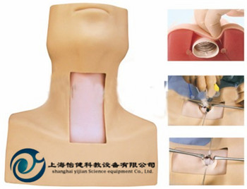 高級環(huán)甲膜穿刺及氣管切開插管訓(xùn)練模型