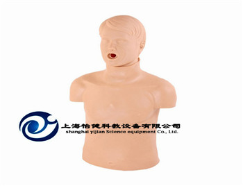 迷你心肺復(fù)蘇模型