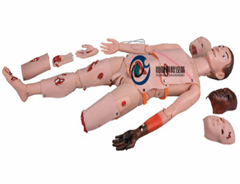 高級(jí)創(chuàng)傷護(hù)理模型