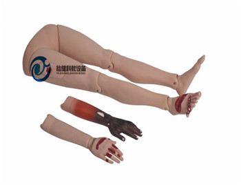 高級(jí)創(chuàng)傷四肢模型