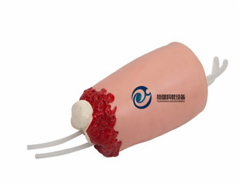 下肢外傷斷肢止血模型