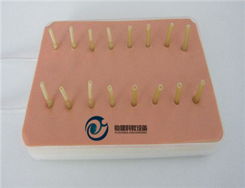 表面出血點(diǎn)止血考核指導(dǎo)模型