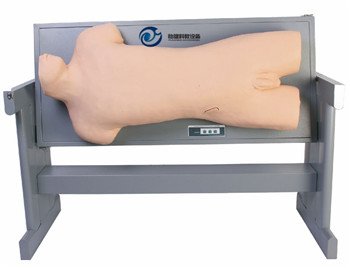 腹部移動性濁叩診與腹腔穿刺訓練模型