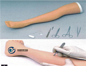 高級外科腿部縫合訓練模型