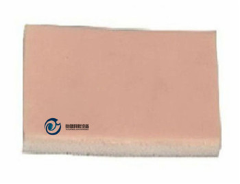 皮脂腺囊腫切除術練習模型