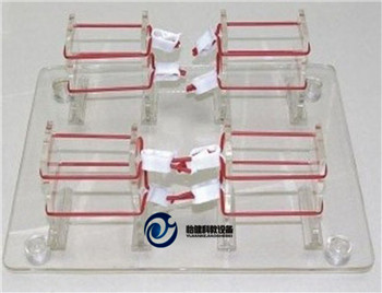 淺表打結技能訓練模型