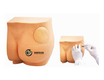 臀部注射實習模型