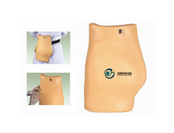 高級電子臀部注射訓練模型