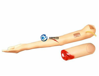 控制出血手臂模型