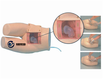 高級灌腸和輔助排便訓(xùn)練模型