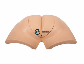 高級(jí)著裝式人工取便訓(xùn)練模型