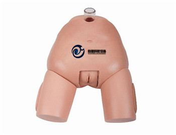 高級女性膀胱穿刺模型