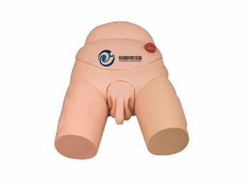 高級男性導尿模型