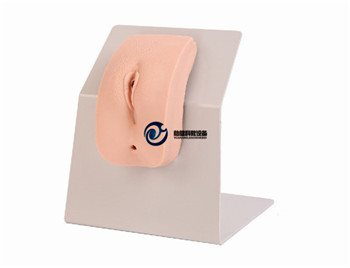 高級著裝式女性導尿模型