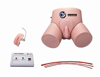 電子導尿灌腸教學實習模型