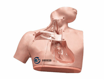 高級腸外營養護理模型