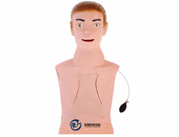 高級鼻飼管與氣管護理模型