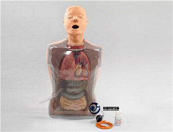 多功能透明洗胃訓練模型