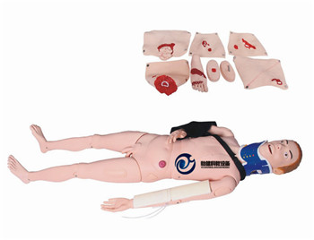 閉合式四肢骨折固定訓(xùn)練模型