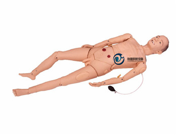 高級全功能老年護理人（男性）