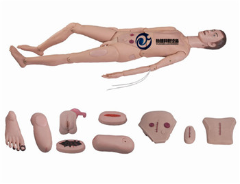 高級全功能護理人訓(xùn)練模型（男性）