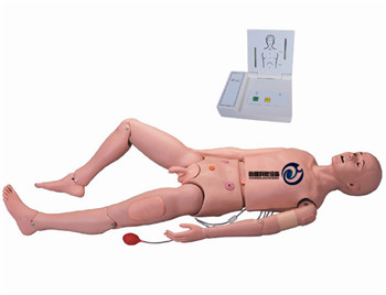 高級成人護理及CPR模型人