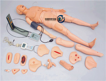 高級成人護(hù)理模型