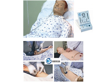 高智能綜合護理人