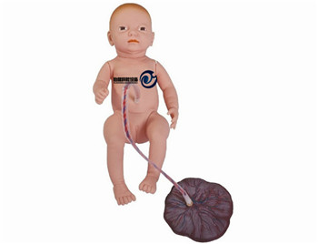 高級新生兒臍帶護理模型