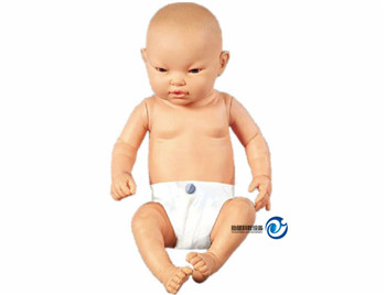 高級智能嬰兒模型