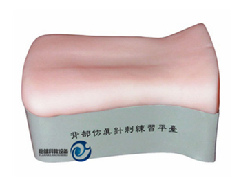背部仿真針刺練習(xí)平臺