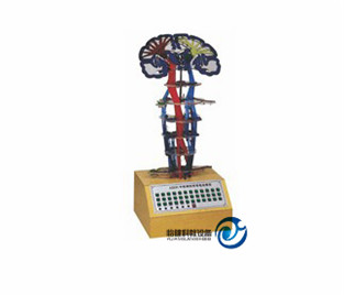 平衡覺傳導電動模型