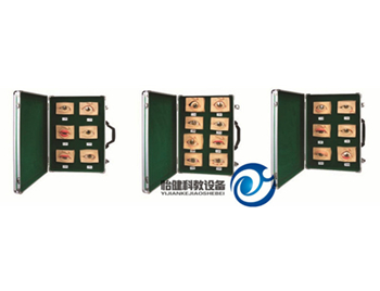 常見眼病模型（20只/套）