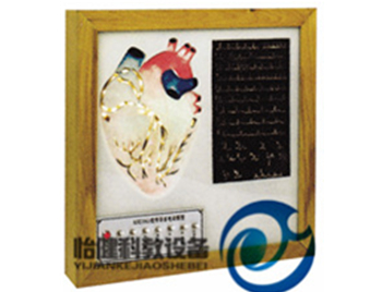 心臟傳導系電動模型