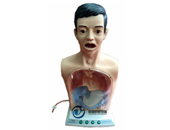 帶警示透明洗胃機制模型