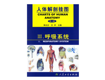 呼吸系統掛圖