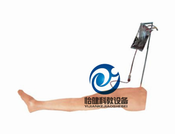 成人脛骨穿刺訓練模型