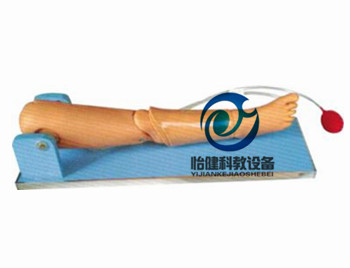 兒童骨穿及股靜脈穿刺操作模型