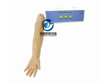 成人動脈穿刺操作模型