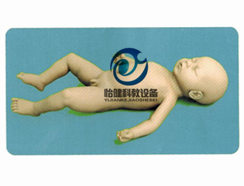 嬰兒沐浴監(jiān)測考核指導模型