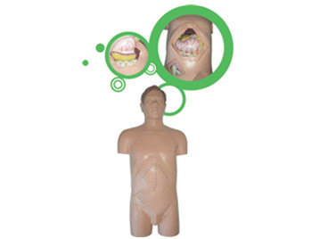 外科手術技能訓練全身仿真模型