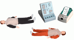 高級自動心肺復蘇模擬人